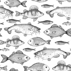 Fish seamless pattern. Hand drawn vector illustration. Seafood vector illustration. Food menu illustration. Hand drawn. Engraved style. - obrazy, fototapety, plakaty