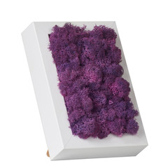 organic moss flower frame for decoration