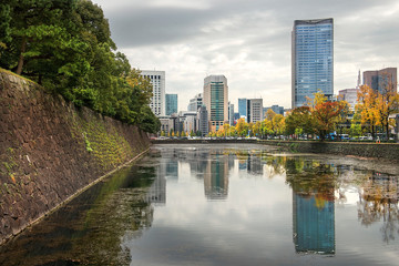 Fototapeta na wymiar cityscape of Tokyo, view of the central business district of Tokyo from a city public park