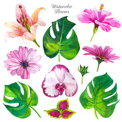 Botanical illustration with tropical plants. Watercolor set of green leaves and flowers: hibiscus, orchid, dahlia, monstera. Handmade painting realistic watercolor cliparts.