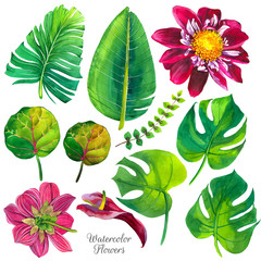 Botanical illustration with tropical plants. Watercolor set of green leaves and flowers: lilly, dahlia, monstera. Handmade painting realistic watercolor cliparts.