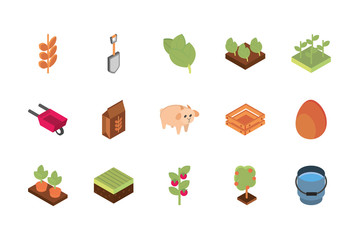 farm harvest agriculture rural isometric icons collection