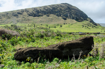 Chile - Rapa Nui or Easter Island - Te Ara O Te Moai trail