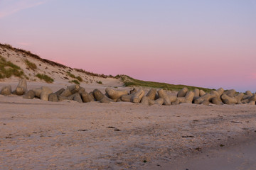 Tetrapoden in der Dämmerung