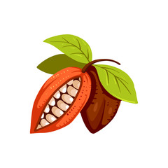 Cocoa beans isolated illustration, cartoon style. 