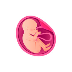 Embryo Development isolated icon. Pregnancy, fetal foetus development.  - obrazy, fototapety, plakaty