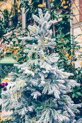 Christmas tree snowed in a market outdoors in winter