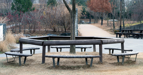 round bench in a park
