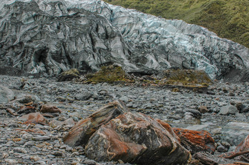 New Zealand - Fox Glacier 