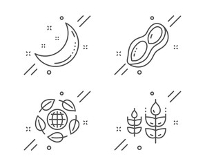 Eco organic, Peanut and Moon stars line icons set. Gluten free sign. Bio ingredients, Vegetarian nut, Night. Nature set. Line eco organic outline icon. Vector