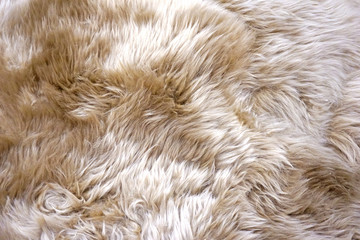 Natural texture of the hair