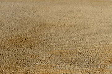 Field plowed, sown cereals. Plowed field in spring day. Black soil plowed field. Plowed field. Earth texture. Rustic background.