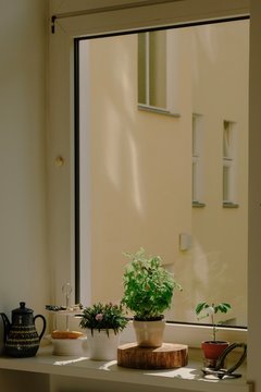 Kitchen Still Life