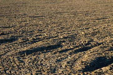Field plowed, sown cereals. Plowed field in spring day. Black soil plowed field. Plowed field....