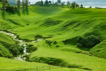 Zelfklevend Fotobehang New Zealand - Matamata - land of the hobbits © J. J. Sesé
