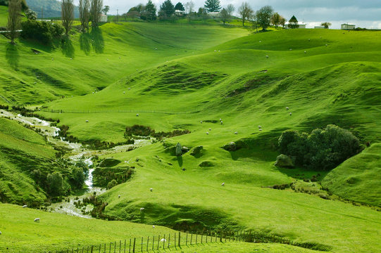 New Zealand - Matamata - land of the hobbits