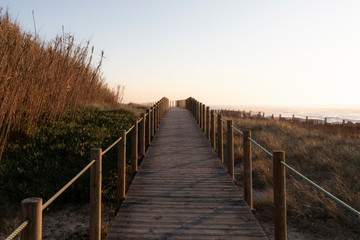 Fototapeta na wymiar Wooden path walk close to beach. 