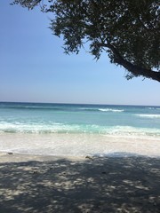 Dschungel Urlaub Bali Strand und Meer