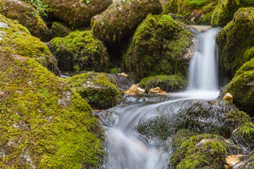 Filé dans les gorges du Bruyant