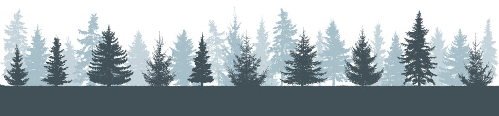 Silhouette of winter forest, horizon. Fir trees (Christmas trees), vector illustration.