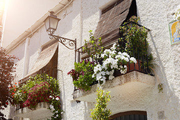 Balconies decorated with flower pots on the street Capileira Spain