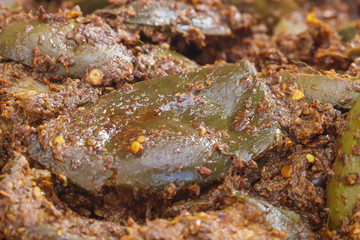 Spicy Hot Tangy Big Slices of Green Punjabi Mango Pickles Soaked in Oil Close-Up Indian Dry Aam Ka Aachar