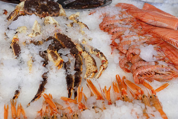 Shrimps, red fish and crabs - sea food fresh mix on ice