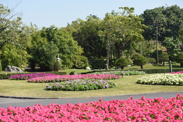 Gardens with flowers and ornamental plants.	