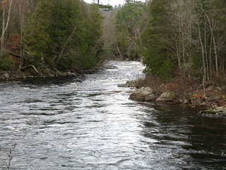 Muskoka River