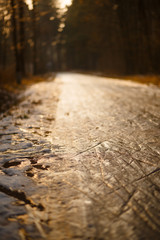 Road in a pine forest on a Sunny spring day. The icy path with footprints and skis glistens in the warm rays of the sun.