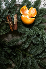 mandarin tree blue spruce background cinnamon star anise christmas present new year cookies gingerbread mulled wine