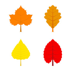 Set of autumn leaf isolated on white background