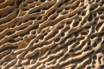 Beautiful yellow Geoforms in Labetxu on Mount Jaizkibel, Basque Country