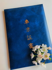 春の門出　卒業証書と桜