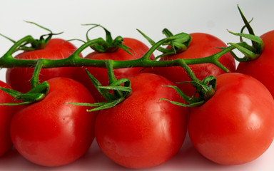 red tomatoes as a background for artists