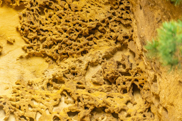 Many yellow eroded geoforms on the coast of Mount Jaizkibel. Basque Country