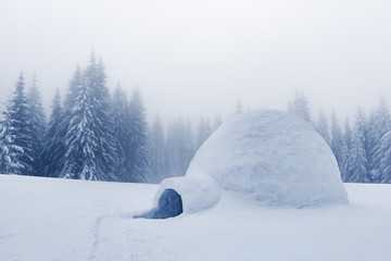 Real snow igloo house in the winter mountains. Snow-covered firs on the background. Foggy forest...