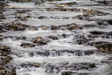 Fischtreppe in der Fils