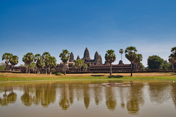 ankor wat
