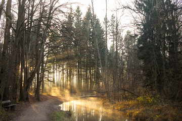 Fog rises on a sunny winter morning from a creek on the forest road