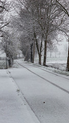 Strada di campagna durante una nevicata