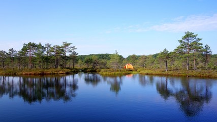 Fototapeta na wymiar Wild camping between bog ponds in Estonia during summer