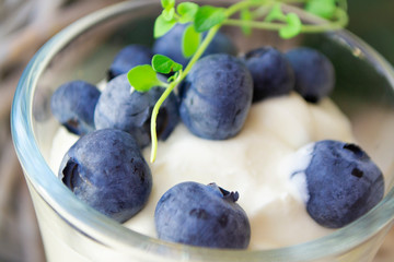 Natural homemade blueberry yogurt parfait with granola, close up