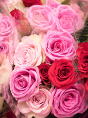 バラの花