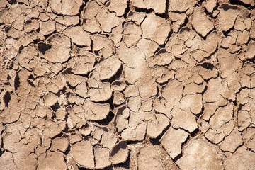 Dry land