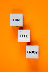 Fun, Feel, Enjoy words on the faces of wooden cubes on a green background, selective focus
