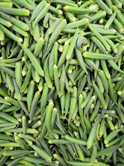 Green Okra Or Ladies' Fingers
