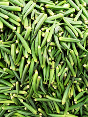 Green Okra Or Ladies' Fingers