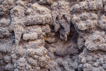 Detail of stalactite wall, Prague, Czech Republic