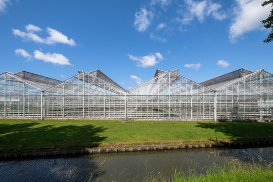 Frontal view of a commercial glass greenhouse in Westland in the Netherlands